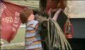 dr dolittle 3-avi_581.jpg